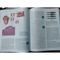 Biological Psychology - James W. Kalet