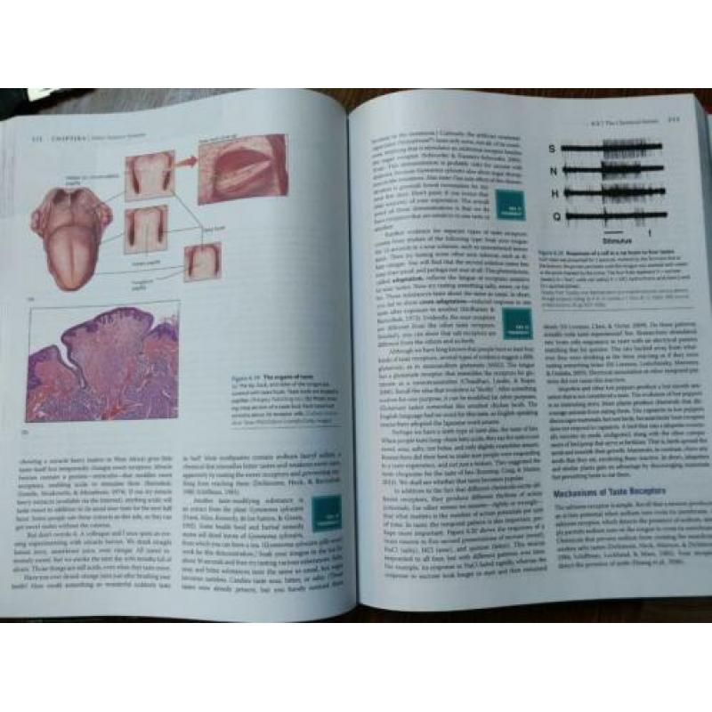 Biological Psychology - James W. Kalet
