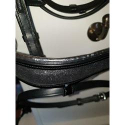 Nieuw hoofdstel Cob en pony