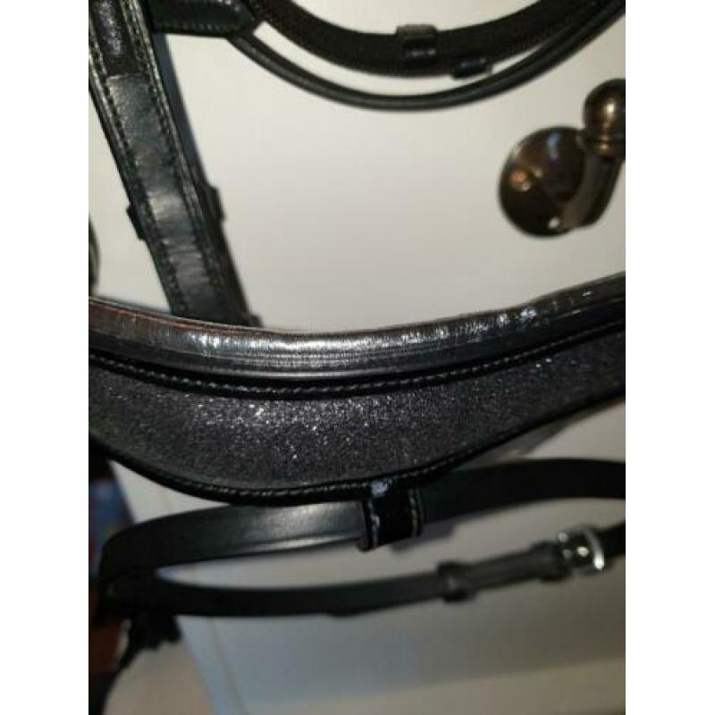 Nieuw hoofdstel Cob en pony