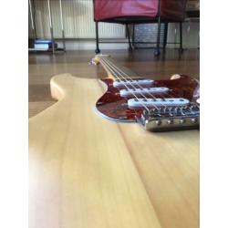 Stratocaster/partcaster