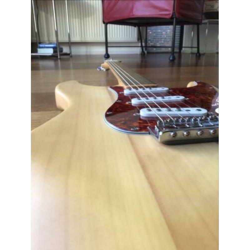 Stratocaster/partcaster