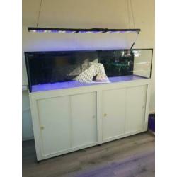 Zeeaquarium 1.60x40x40 optick-white merk diamond compleet