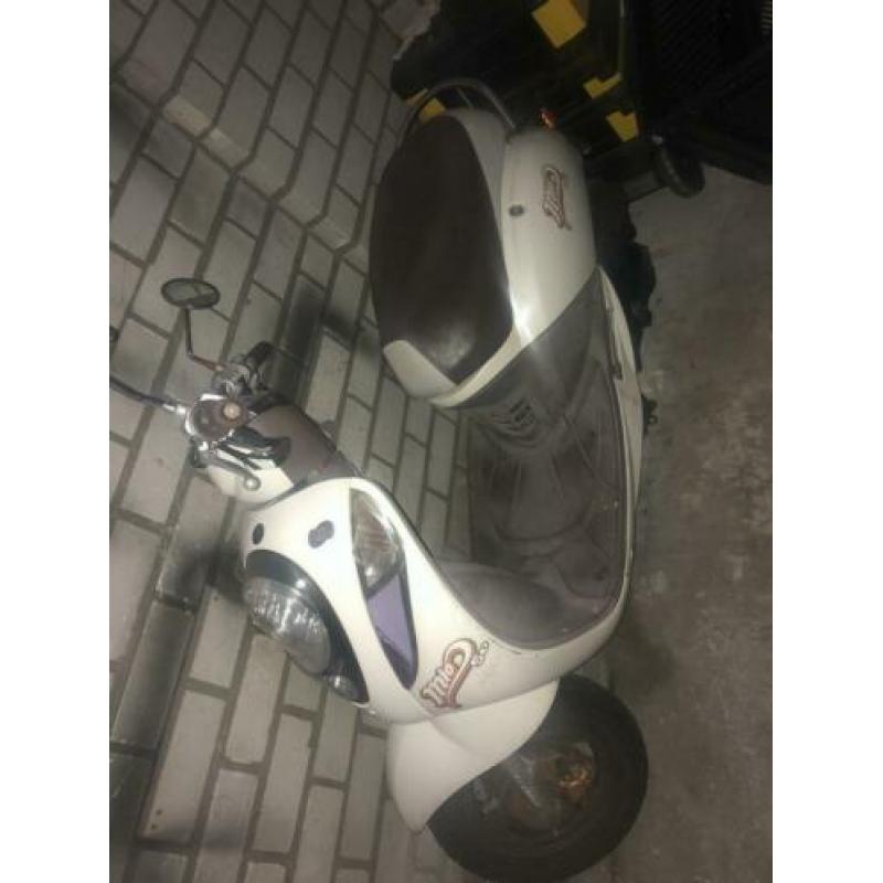 Sym mio50