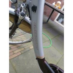 Batavus elektrische fiets opknapper