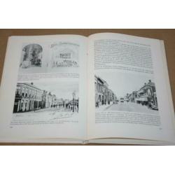 Praatjes met plaatjes over Drachten in bestek 1902-1982