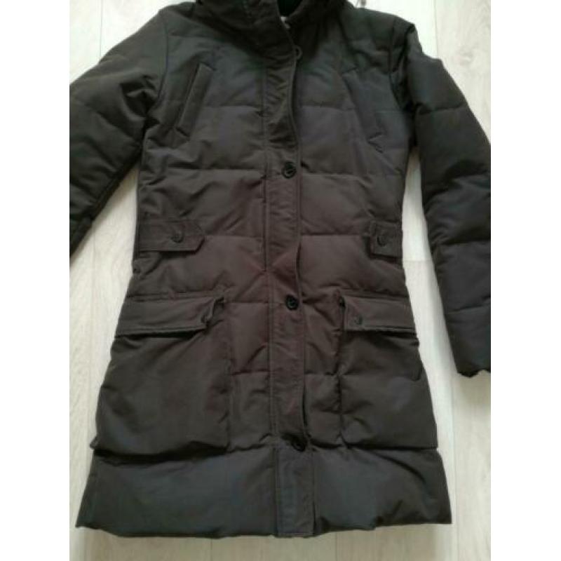 Maison Scotch winterjas mt. S (1)