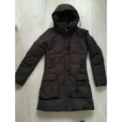Maison Scotch winterjas mt. S (1)