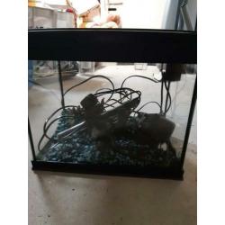 Aquafish 20 aquarium