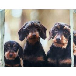 NIEUW: Teckel,Dachshund,Black & Tan etui/shopper