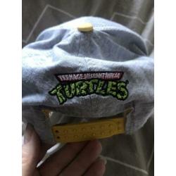 teenage mutant hero turtles snapback van nickelodeon