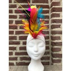 Hoofdtooi voor carnaval
