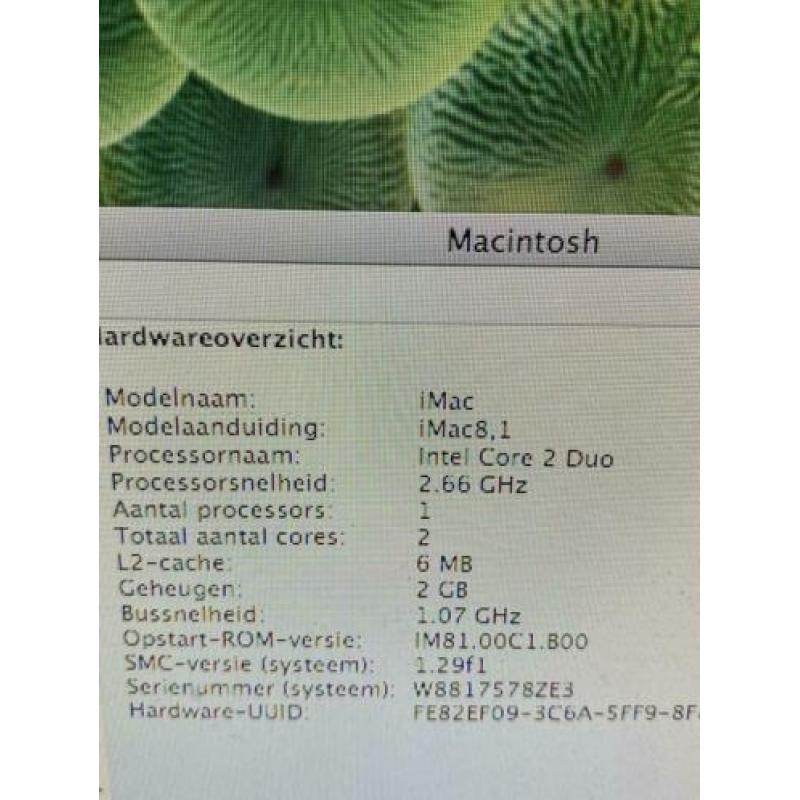 iMac 8.1