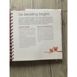 Boek Zwangere zaken