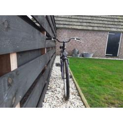 Gabana Batavus meisjes fiets