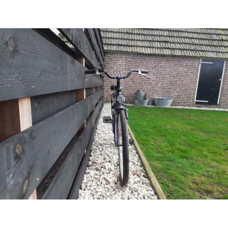 Gabana Batavus meisjes fiets