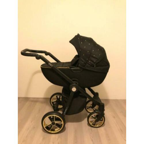 Roan Esso golden chic