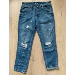 Scotch & Soda destroyed jeans ?? 28 32 1 2 38 Maison anker