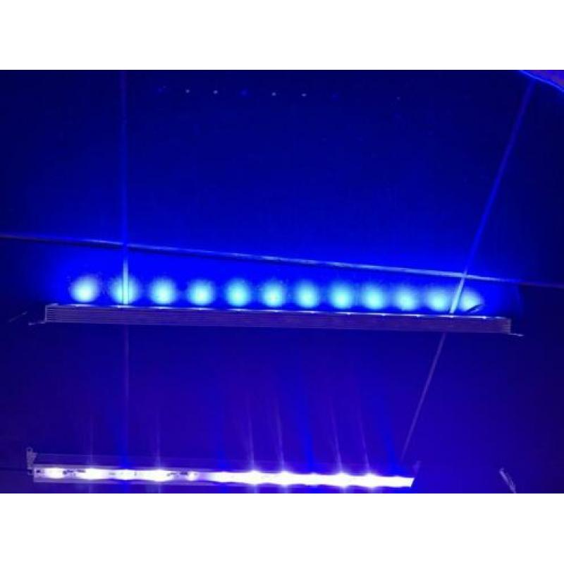 Jmb powerled 60 cm aquarium blauw en blauw wit