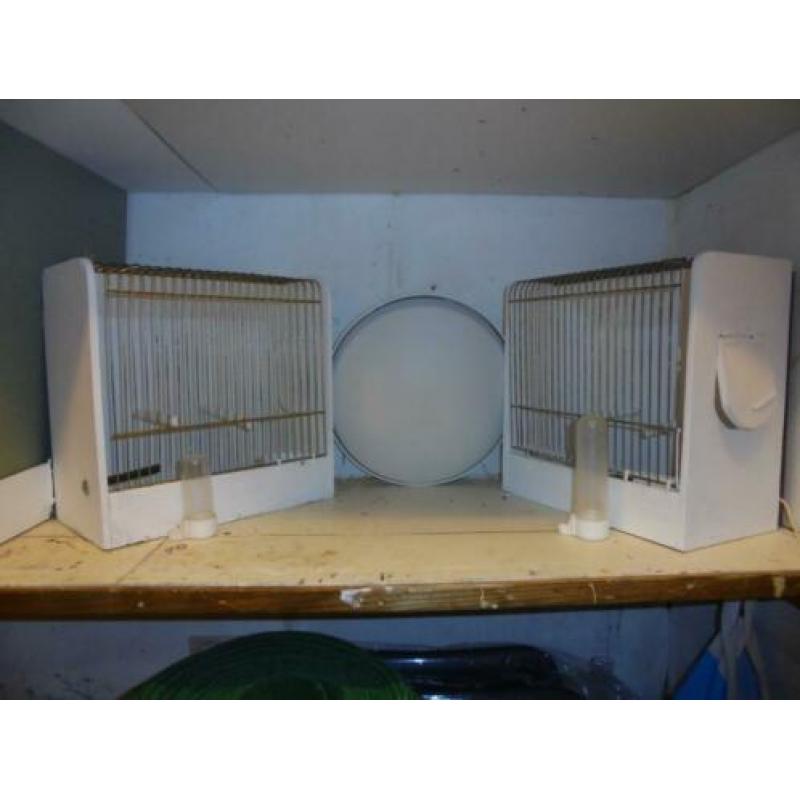 wie wil de een vogelhok kopen 25euro eneenpop kanarie 7.50