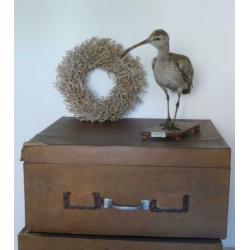 Aparte grote doos met 2 lades / ladenkastje / laden box lade