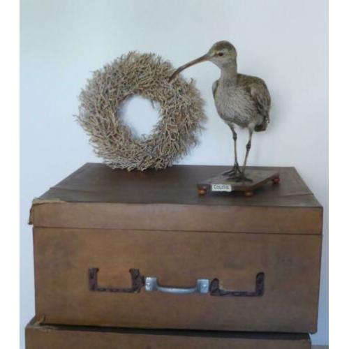 Aparte grote doos met 2 lades / ladenkastje / laden box lade