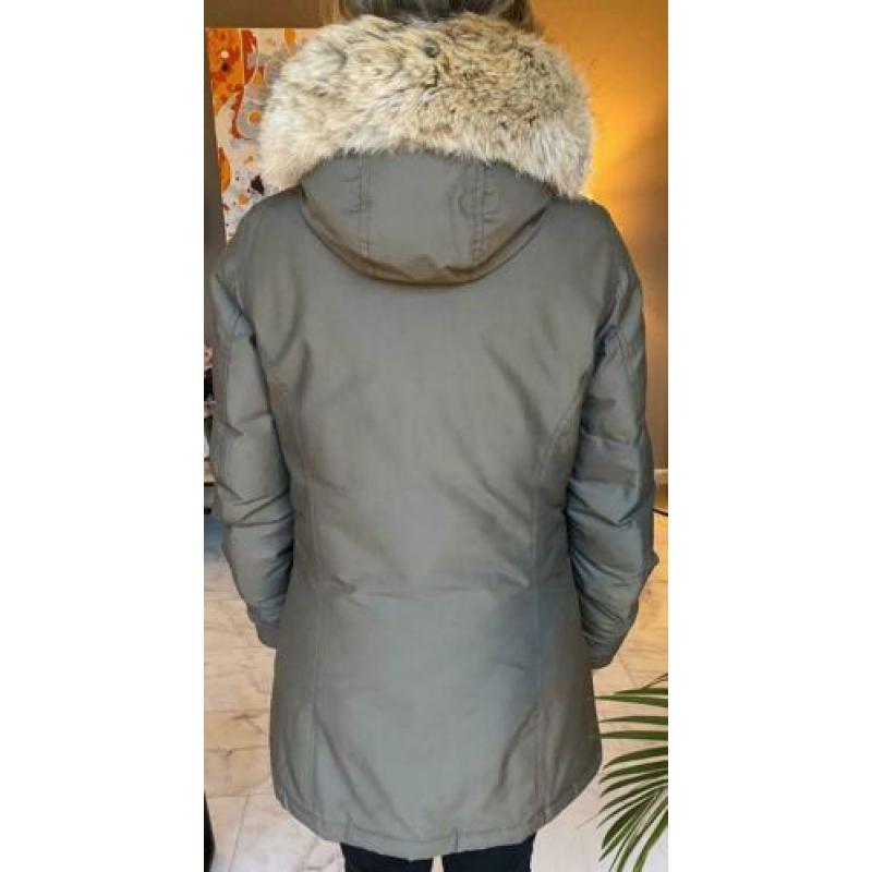 Woolrich jas S green