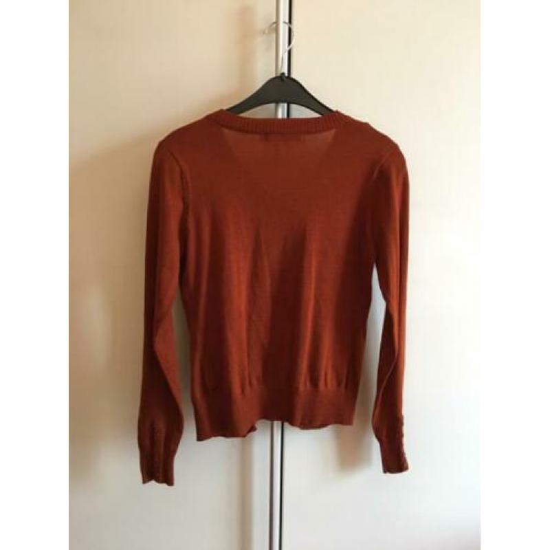 Dandara vestje terra - small - nieuw