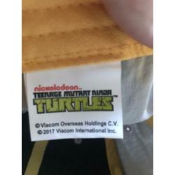 teenage mutant hero turtles snapback van nickelodeon