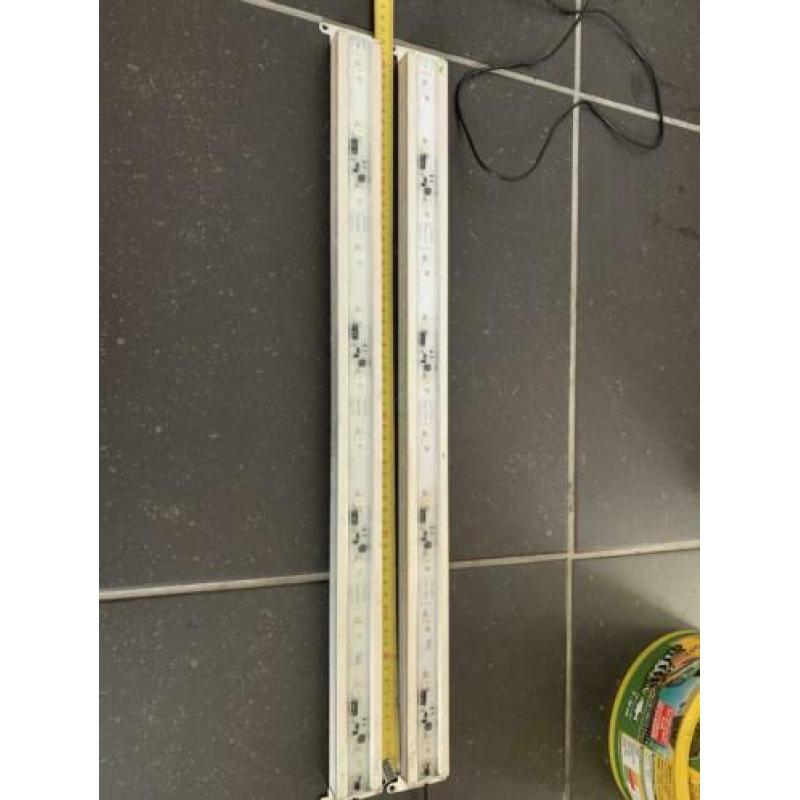 Jmb powerled 60 cm aquarium blauw en blauw wit