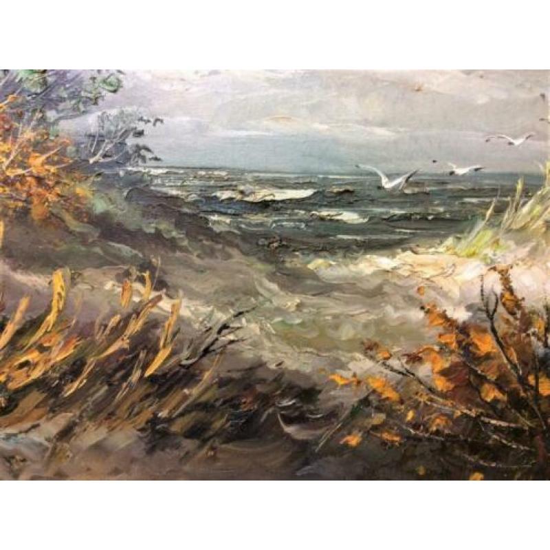 DUINLANDSCHAP Gerardus Ernens 1935