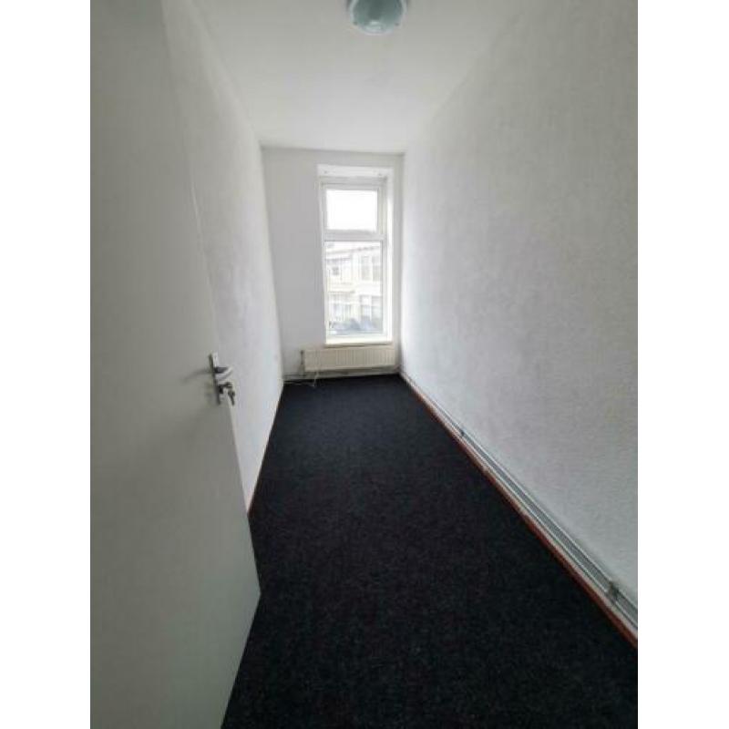 Hartje Haarlem per direct kamers