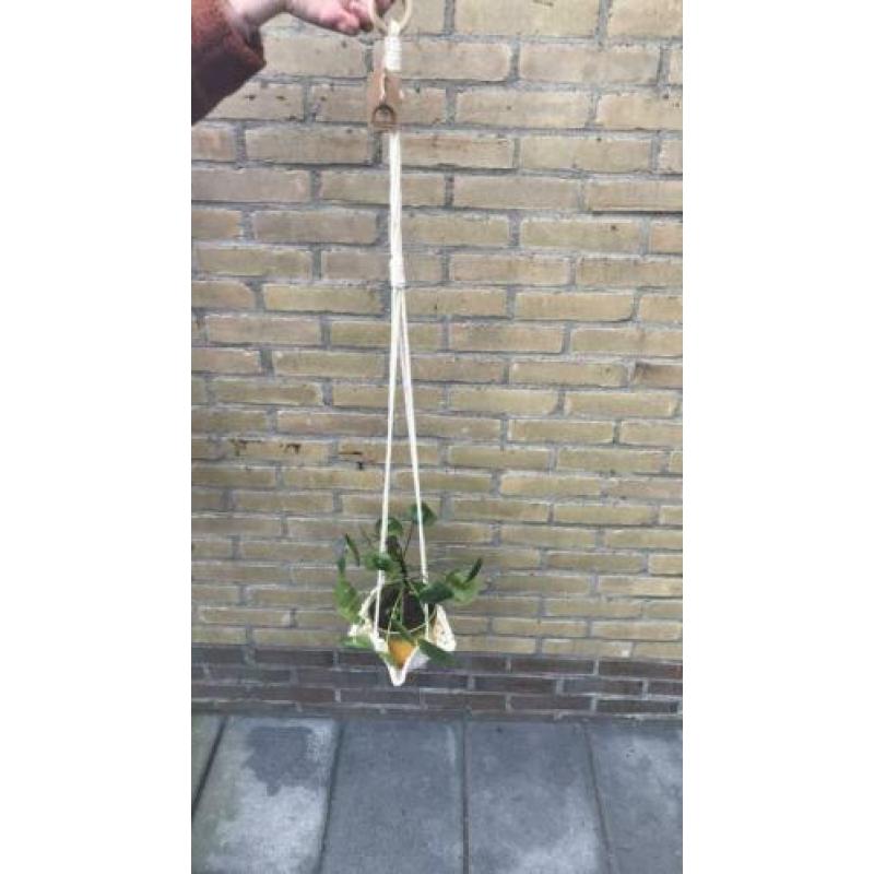 Plantenhanger macramé