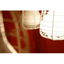 Diesel with Foscarini Cage Bij TheReSales