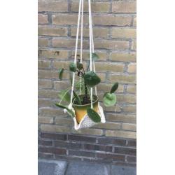 Plantenhanger macramé