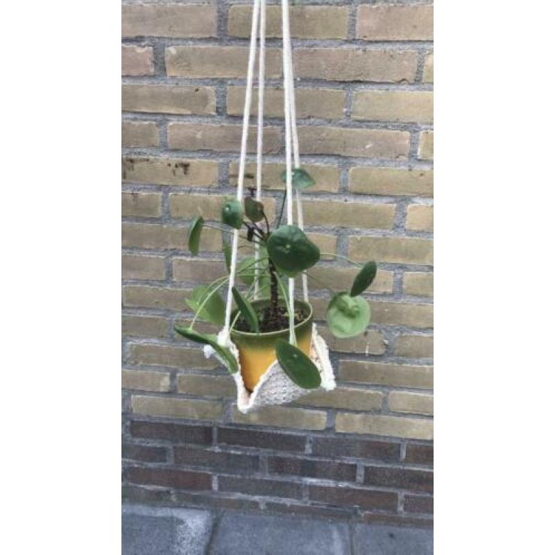 Plantenhanger macramé