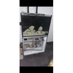 zeeaquarium diamond rimless 80x60x60 met tmc sump