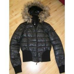 Coolcat winterjas