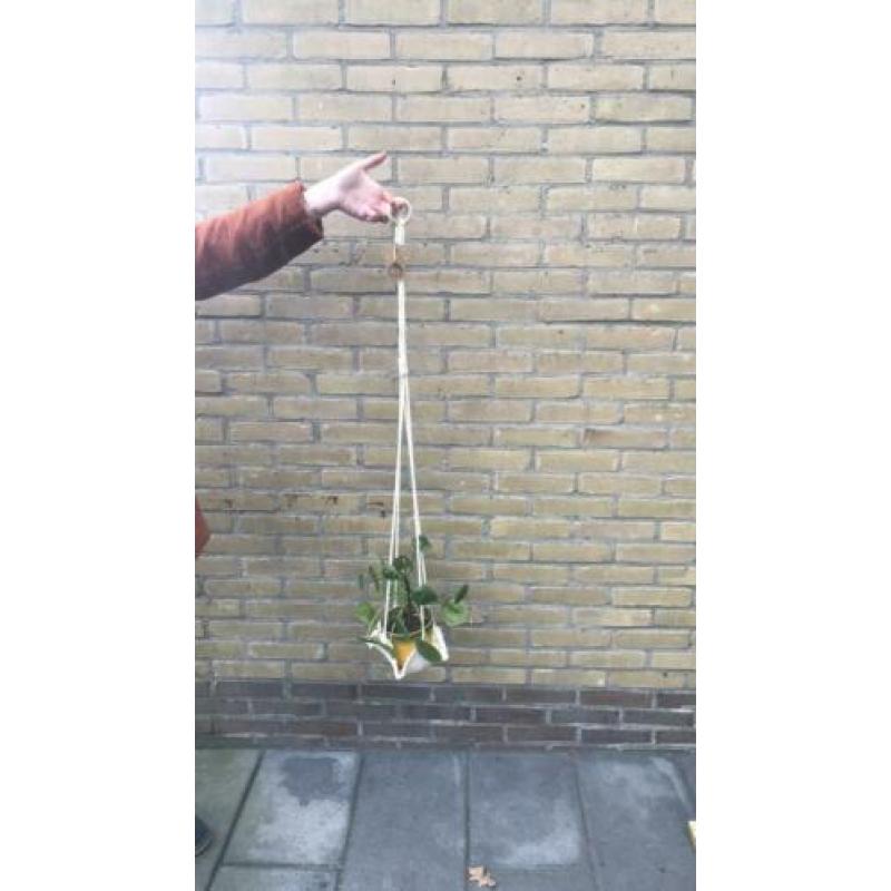 Plantenhanger macramé