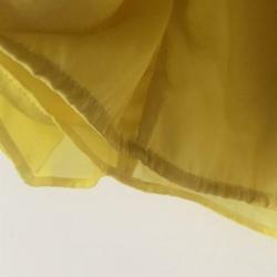 Prachtige L chique gele rok H&M Modern Classics voile egf