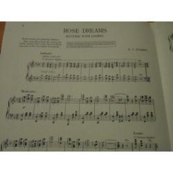 Rose dreams - j. Stasny