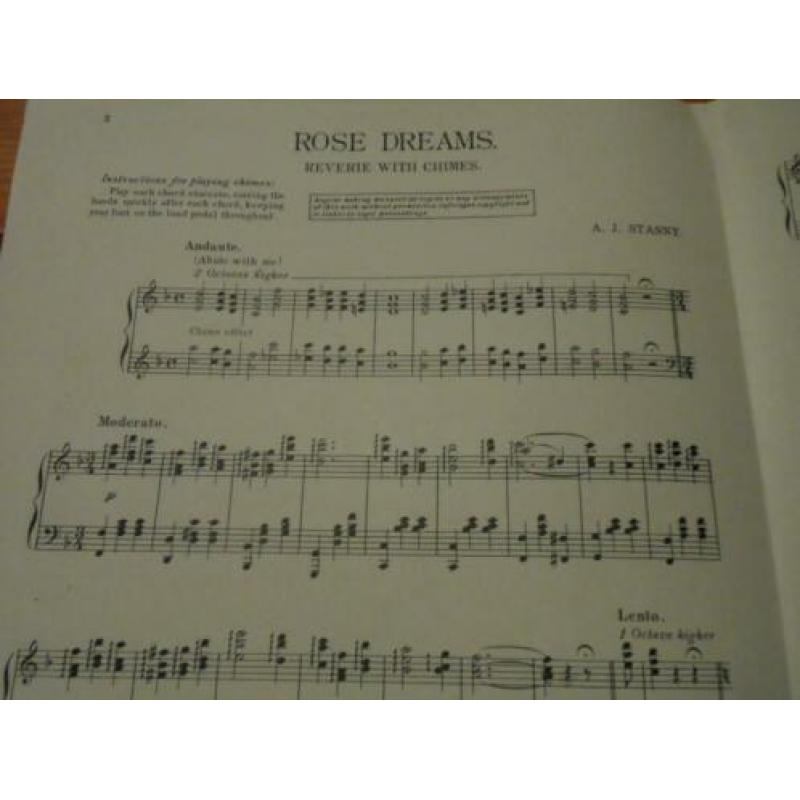 Rose dreams - j. Stasny