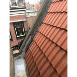 Dakpannen nieuw