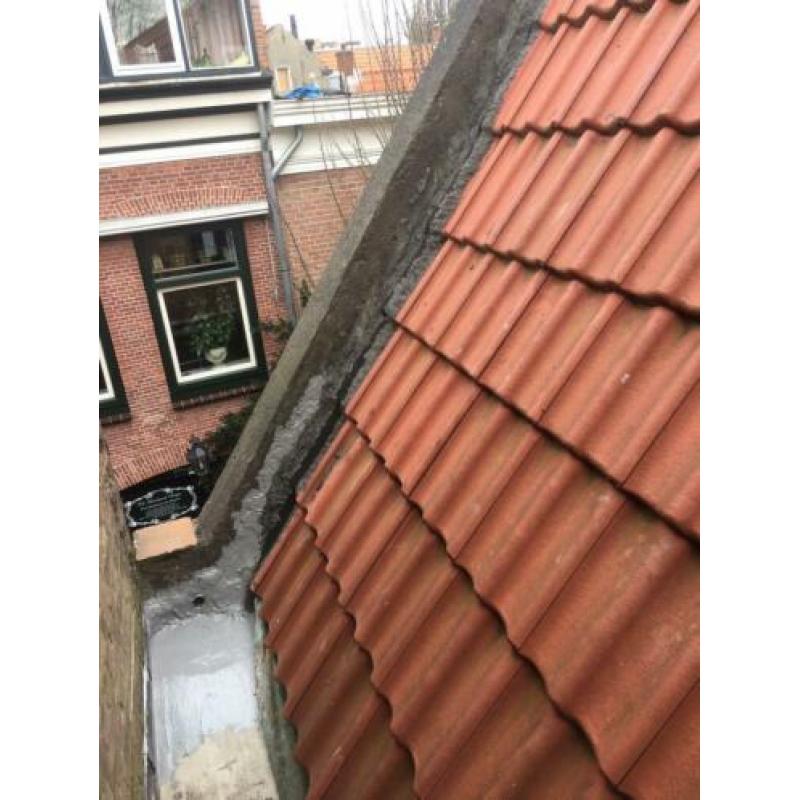 Dakpannen nieuw
