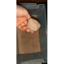 Kinetic sand