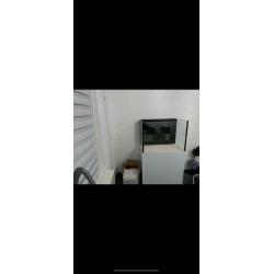 zeeaquarium diamond rimless 80x60x60 met tmc sump