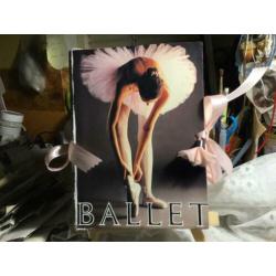 Deze junk journaal gaat over the beauty of ballet