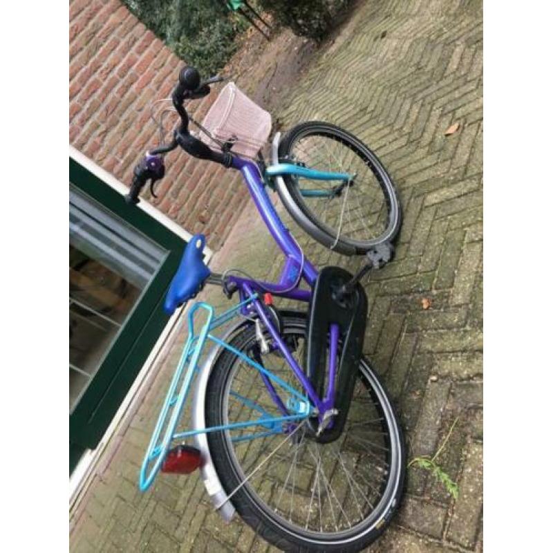 Batavus Koala 22 inch meisjesfiets