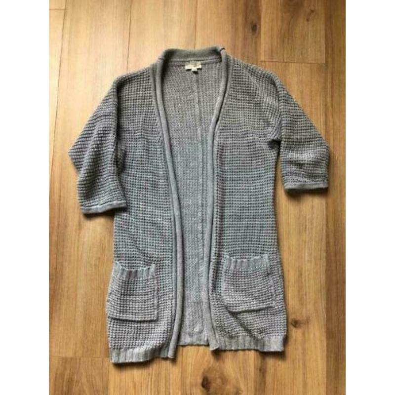 Grijs vest Artu Napoli mt. 36 (IT42)