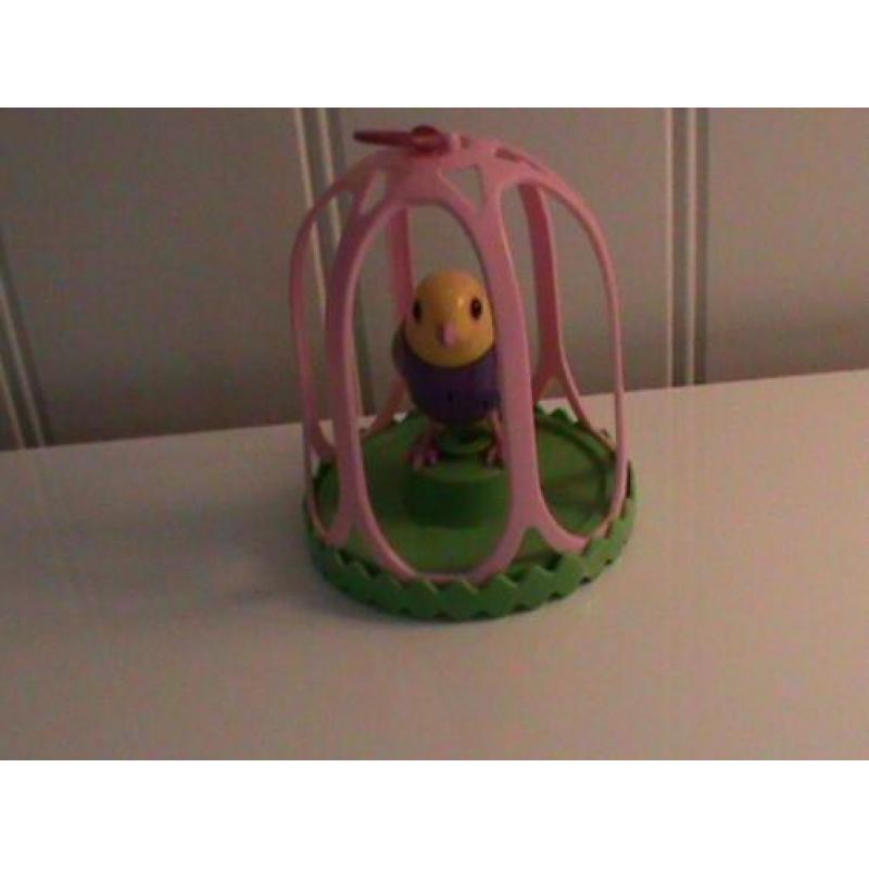 te koop 4 x zangvogels nieuw!!